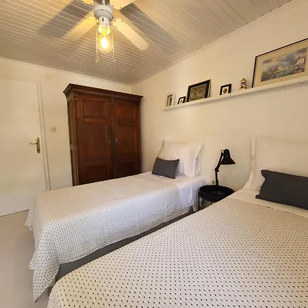 Durdica * مورتير